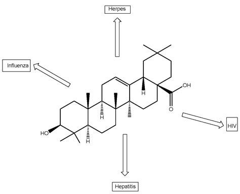 Antiviral Activities of Oleanolic Acid and Its Analogues