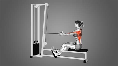 Image result for Machine Row Exercise