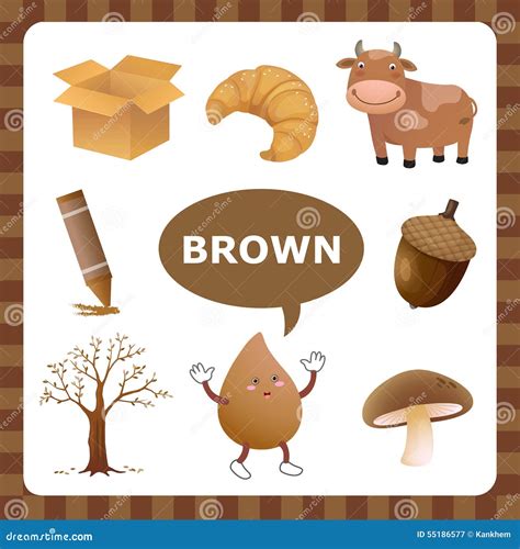 Brown color stock vector. Illustration of preschool, material - 55186577