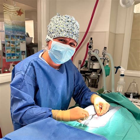 FACE Low-Cost Animal Clinic posted on LinkedIn