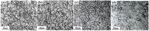 Effect of Micro-Scale Er on the Microstructure and Fluidity of ZL205A Alloy