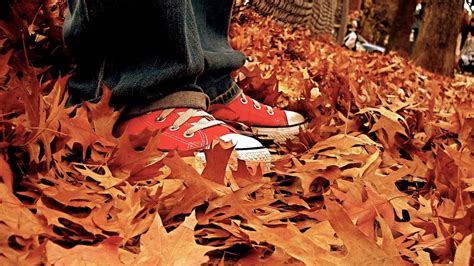 Download wallpaper 1280x720 gym shoes, leaves, autumn hd, hdv, 720p hd ...