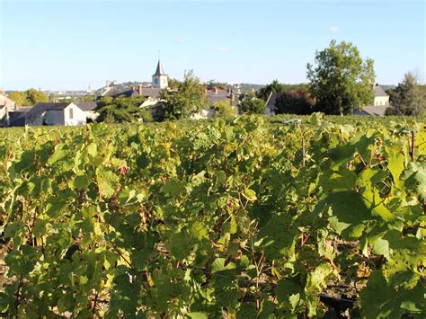 CAVES VEUVE AMIOT (2026) All You Need to Know BEFORE You Go (with ...