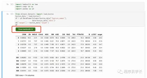 Bamboolib for Python 的图像结果