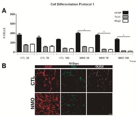 Sera from Patients with NMOSD Reduce the Differentiation Capacity of ...
