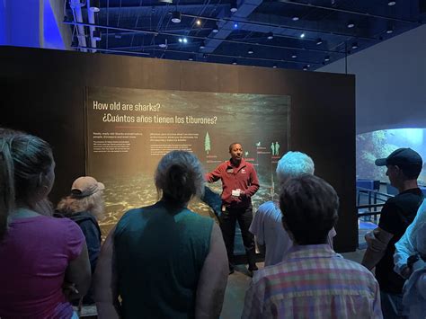 Exhibits | Collections - Sharks - Deep Dive Docent Tours - Peoria Riverfront Museum