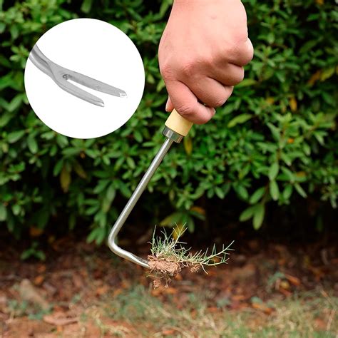 Five Tines Rake with Wooden Handle Grass Root India | Ubuy