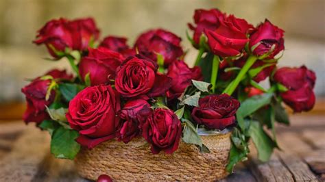 Rose Day 2023 : ਰੋਜ਼ ਡੇਅ 'ਤੇ ਆਪਣੇ ਸਾਥੀ ਨੂੰ Special Feel ਕਰਵਾਉਣਾ ਚਾਹੁੰਦੇ ...