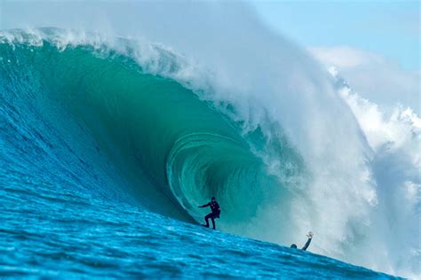 Image result for Wave Button Animation. CSS