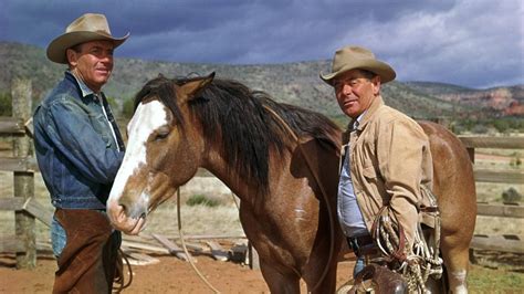 Rounders 的图像结果