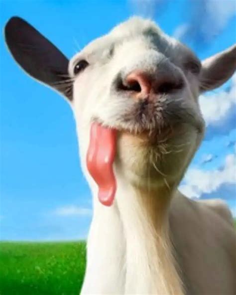 Goat Simulator Pokemon Mod 的图像结果