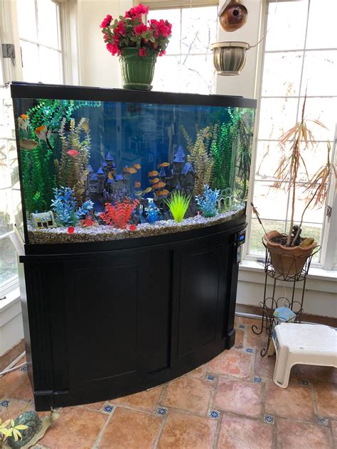 80 Gallon Aquarium