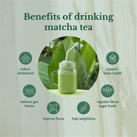 5 proven health benefits of matcha tea in 2024 | Matcha benefits, Matcha tea, Matcha tea benefits