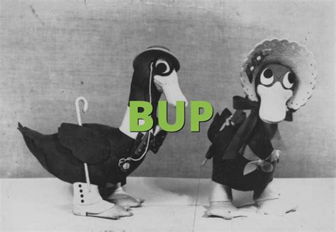 Image result for BUP