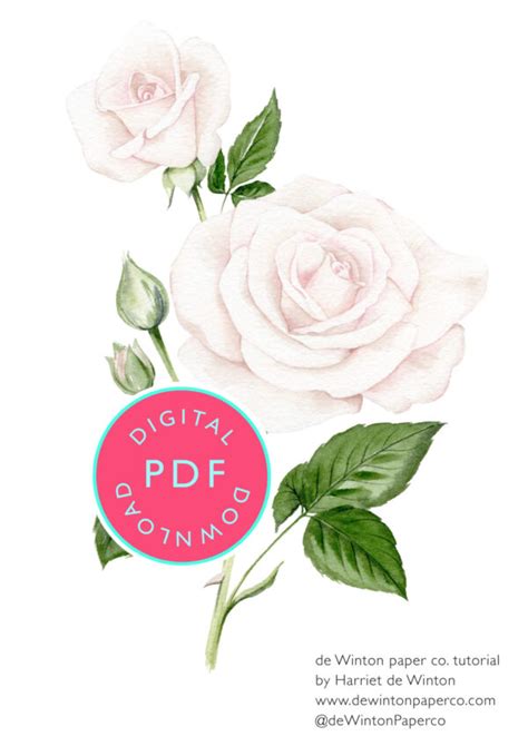 Image result for De Winton Paper Tutorial