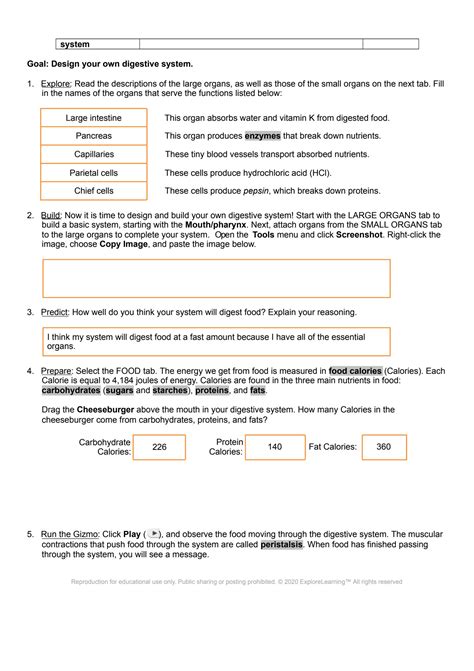 SOLUTION: Copy of digestive system gizmo student exploration sheet ...