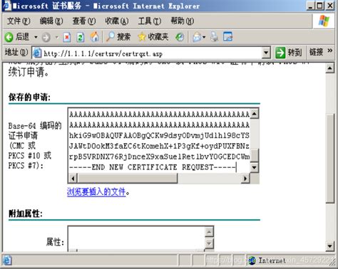 证书服务器，及申请证书。_43059的博客-CSDN博客_windows证书服务器申请证书