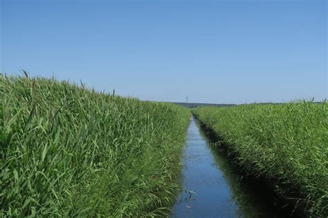 THE 30 BEST Places to Visit in Misawa (2025) - Must-See Attractions