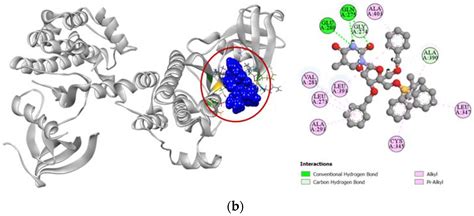 Synthesis of Sugar and Nucleoside Analogs and Evaluation of Their ...