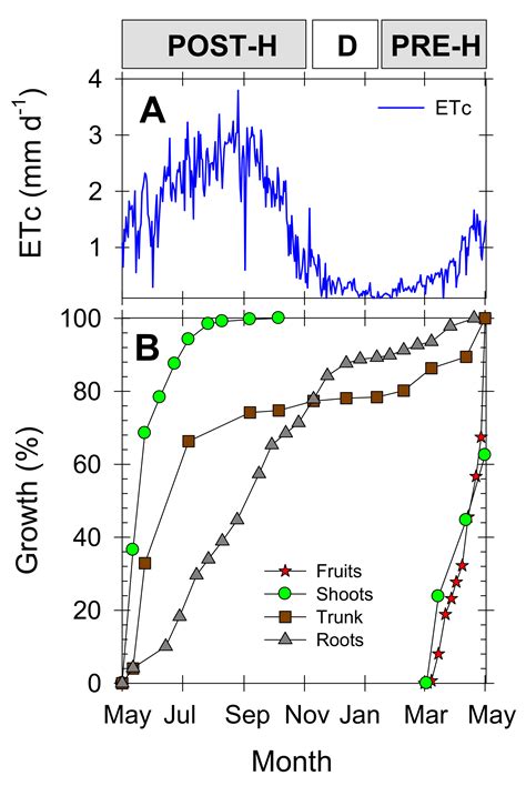 Arbuscular Mycorrhizal Fungus Stimulates Young Field-Grown Nectarine Trees