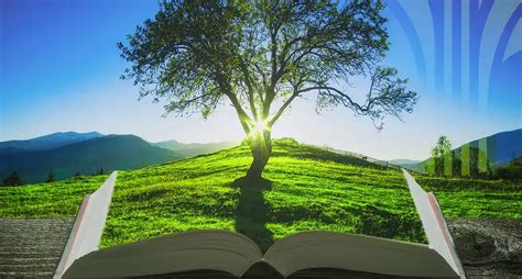 Image result for Creating Learning Tree