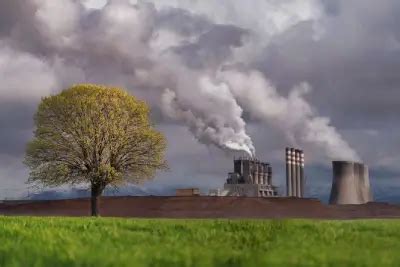 Environmental Quality 的图像结果