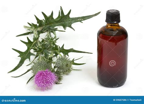 Extract of milk thistle stock photo. Image of extract - 59607586