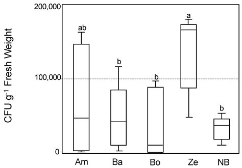 Biofertilizer Activity of Azospirillum sp. B510 on the Rice ...