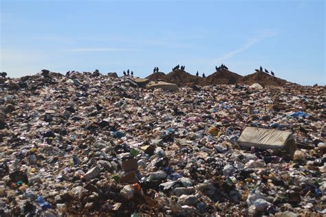 Placer County Landfill Athens at Thomas Schnell blog