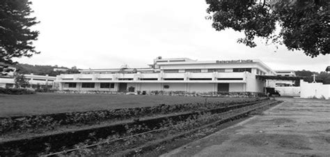 Cosme Matias Menezes :: Home