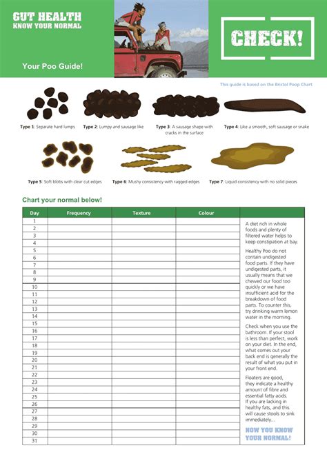Image result for Normal Bowel Movement Chart