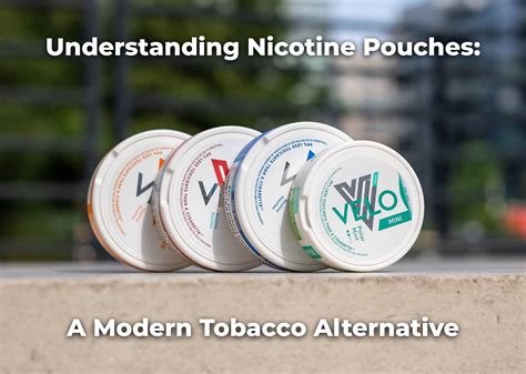 Understanding Nicotine Pouches: A Modern Tobacco Alternative - N Pouches