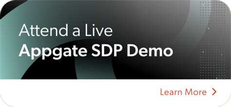 API Connection to AppGate 的图像结果