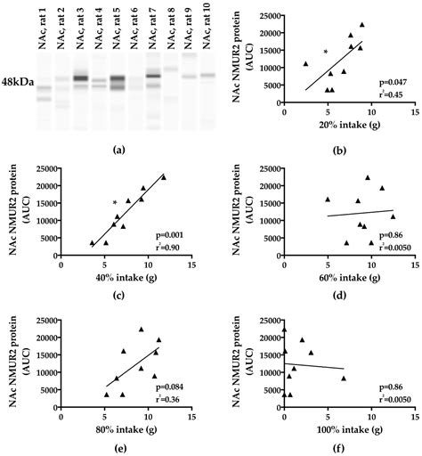 Binge-Type Eating in Rats is Facilitated by Neuromedin U Receptor 2 in ...