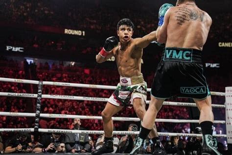 Boxing Update 的图像结果