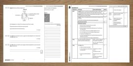 KS3 Cells and Organisation Practice Exam Questions Foundation