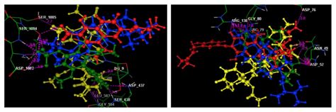 Identification of Antibacterial Metabolites from Endophytic Fungus ...