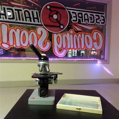 THE ESCAPE HATCH (2025) All You Need to Know BEFORE You Go (with Photos ...