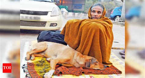 Homeless who refuse to be rescued big challenge | Delhi News - Times of ...