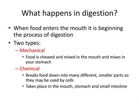 Digestion Process Explained 的图像结果