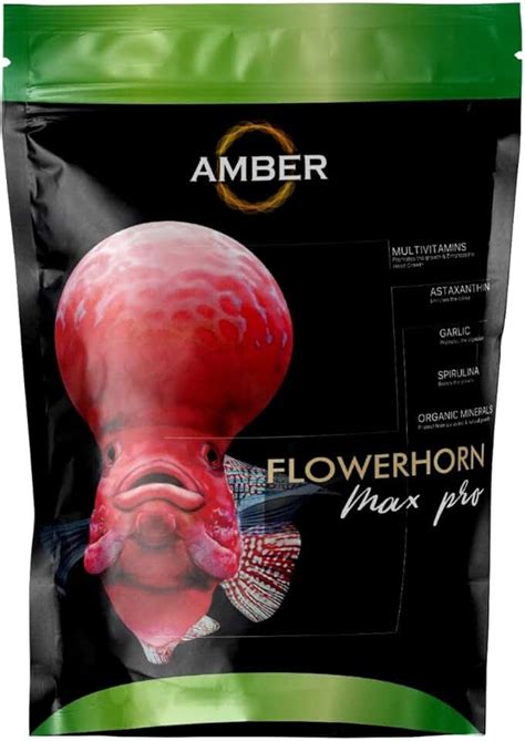 Amazon.in: Flowerhorn