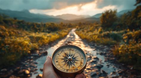 How to Use Nature's Compass 的图像结果