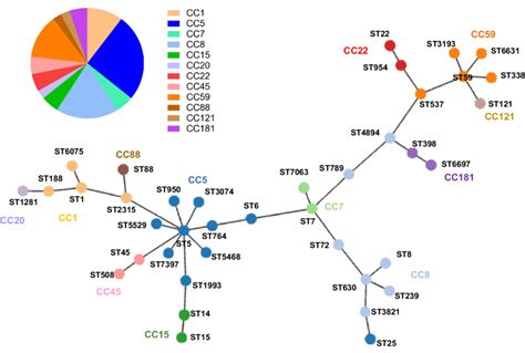 Image result for Minimum Spanning-Tree Sample