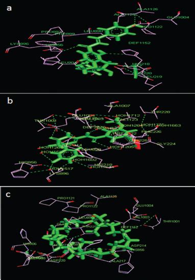 Molecular docking and its application in search of antisickling agent ...