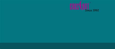 Crescent 3 in 1 Steam Sauna Vaporizer Health Care Professionals , Blue ...