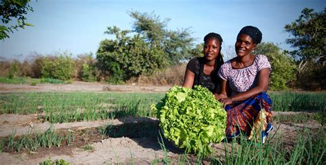 Jafowa Program: an alliance to accelerate Agroecological transition in ...