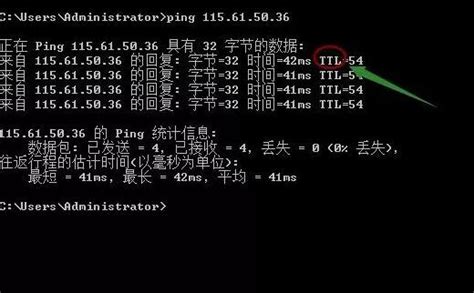 How to Use the Ping Command to Test Your Network