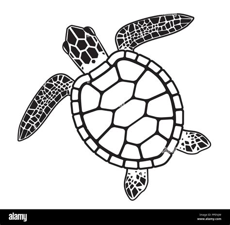 Hawaiian Turtle Drawing Outline