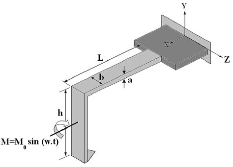 Image result for AFM Structure