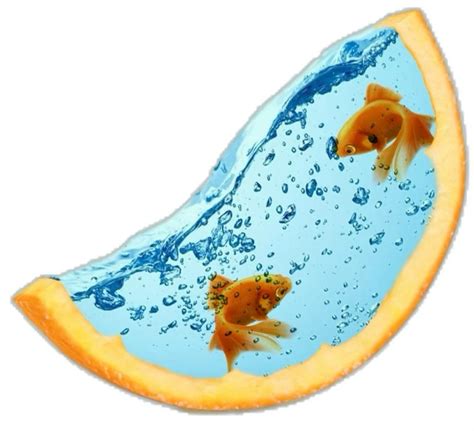 79 Frutiger aero 🐠 ideas in 2025 | windows aero, retro futurism, stock ...